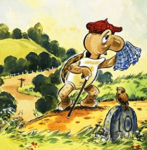 Tortoise takes a walk in the country Tortoise takes a walk in the country