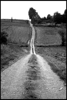 Track through fields, Tuscany, Italy Track through fields, Tuscany, Italy