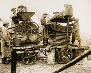Prints of A transportable cider press in use at Pensford, Somerset South-west England) : the fruit is first ground in a mill, then crushed in a press to extract the cider Somerset Prints: Transportable Cider Press Print: A Traditional Mill and Press Setup