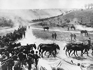 Troops and animals getting ready to move out, WW1 Troops and animals getting ready to move out, WW1