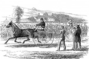 Trotting vs. Cycling Race, Alexandra Palace, 1875 Trotting vs. Cycling Race, Alexandra Palace, 1875