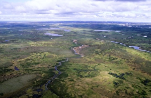 Tundra - aerial view from a helicopter Tundra - aerial view from a helicopter