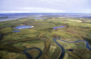 Tundra - lakes and rivers - an aerial view Tundra - lakes and rivers - an aerial view