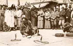 Tunisia - Tunis - Street Snake Charmer with a pair of cobras Tunisia - Tunis - Street Snake Charmer with a pair of cobras