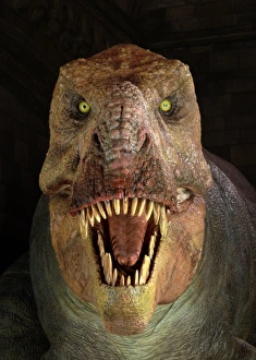 Tyrannosaurus rex, Upper Cretaceous dinosaur Tyrannosaurus rex, Upper Cretaceous dinosaur