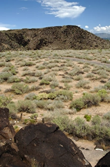 United States. Boca Negra Canyon. Petroglyph National Monume United States. Boca Negra Canyon. Petroglyph National Monume