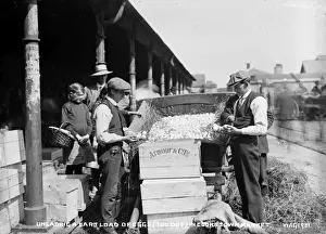 Prints of Unloading a Cartload of Eggs(70 Doz.) in Cookstown Market. - a view of two men and a cart of eggs with people onlooking at the market. (Location: Northern Ireland; County Tyrone; Cookstown) Tyrone Prints: Early 20th Century Print of Cookstown Market Scene