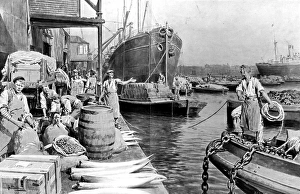 Unloading Ships at London Docks, 1908 Unloading Ships at London Docks, 1908