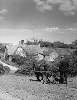 Early 1960s Farm Scene Print