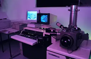Scanning Electron Microscope Image Prints: Variable pressure scanning electron microscope