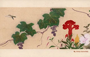 Variety of flowers, plants and grapes by Sakai Hoitsu Variety of flowers, plants and grapes by Sakai Hoitsu