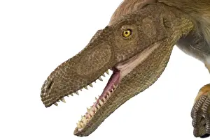 Velociraptor Animatronic Model Print