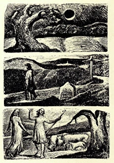 Ambrose Collection: Vergil's First Eclogue Woodcuts