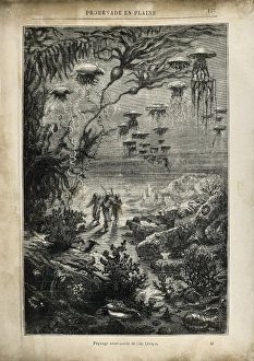 VERNE, Jules (1828-1905). Illustration of 20000 VERNE, Jules (1828-1905). Illustration of 20000