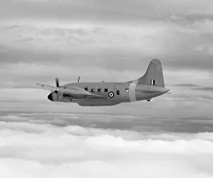 RAF Transport Plane Prints: Vickers Varsity VX828