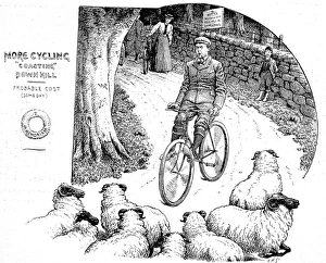 Victorian Cyclist encountering a flock of sheep, 1898 Victorian Cyclist encountering a flock of sheep, 1898