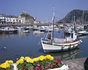 Prints of View of fishing boats in the harbour, with Hillsborough Hill in the distance, Ilfracombe, Devon. Date: circa 1960s Ilfracombe Prints: Ilfracombe Harbour Print, circa 1960s