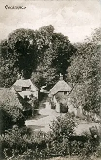 The Village, Cockington, Devon Print (1900s)