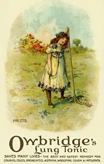 Early 20th Century Advertising Posters Prints: Violets