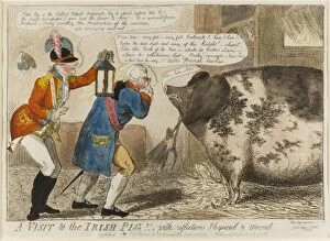Boar Collection: A Visit to the Irish Pig! With reflections Physical & Moral