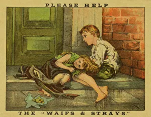 Waifs and Strays Society Advertisement Waifs and Strays Society Advertisement