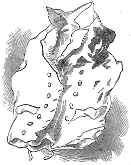 The waistcoat of Nelson worn at the Battle of Trafalgar The waistcoat of Nelson worn at the Battle of Trafalgar