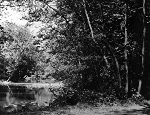 Essex England Prints: Wanstead Park