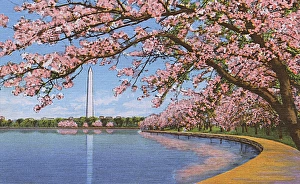 Washington DC, USA - Washington monument Washington DC, USA - Washington monument