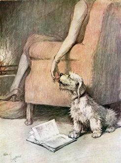 This Weeks Woggles! XV. - Affection by Cecil Aldin This Weeks Woggles! XV. - Affection by Cecil Aldin