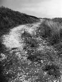 Welsh Countryside Views Prints: Welsh Trackway