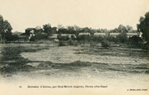 West side of Abziza Farm, Beni-Mered West side of Abziza Farm, Beni-Mered