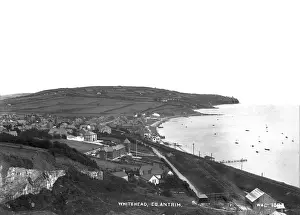 Whitehead Panorama Print circa early 1900s