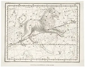 Zodiac Constellations Prints: Whittaker / Leo