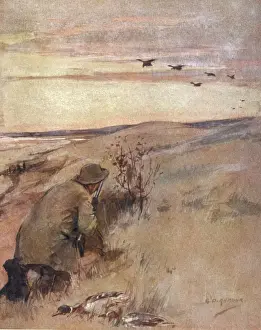 Prints of Wildfowling - flighting Related Prints: Wildfowling Print - Flighting Scene
