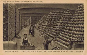 Wine cellar of Pocccardi Restaurant, Paris Wine cellar of Pocccardi Restaurant, Paris