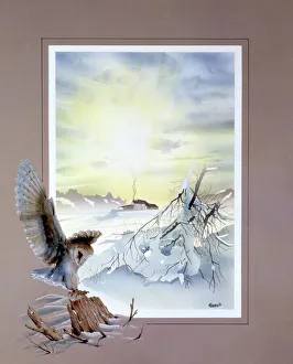 Winter sunrise over isolated cottage with Barn Owl Winter sunrise over isolated cottage with Barn Owl