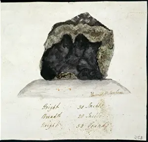 Prints of Watercolour of the Wold meteorite, Yorkshire by Hariet Topham, 1797. Image from Sowerby Collection Painting Prints: Watercolour of the Wold meteorite, Yorkshire Print 1797