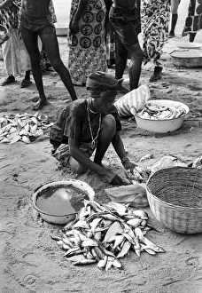 Woman with fresh fish in sand, Sierra Leone Woman with fresh fish in sand, Sierra Leone