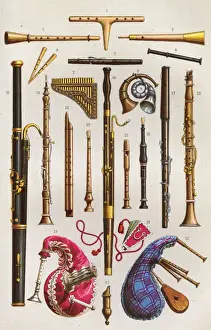 Woodwind Instruments 1878 Print