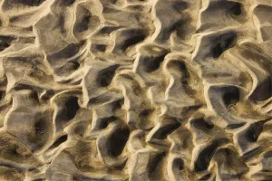 Arid Desert Scenery Photos Prints: Namibia - Structural forms in the sand of a dry riverbed