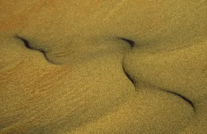 Namibia Desert Landscape Photography Prints: Namibia - Structural forms in the sand of the Namib Desert. Namib-Naukluft Park, Namibia
