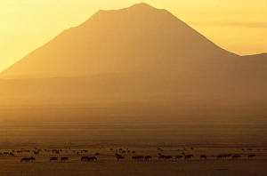 Africa - sunrise over Ol Doinyo Lengai Volcano sacred to Maasai Africa - sunrise over Ol Doinyo Lengai Volcano sacred to Maasai