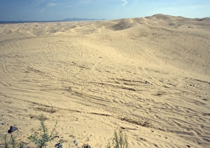 Algodones dunes - huge off-road vehicle recreation area, now devoid of vegetation Algodones dunes - huge off-road vehicle recreation area, now devoid of vegetation