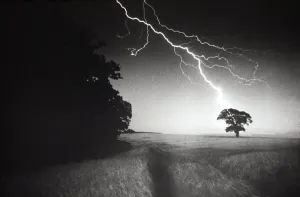 Prints of DD-1 LIGHTNING STRIKING A TREE Damian Davies Please note that prints are personal display purposes only and may not be reproduced in any way. Halloween Posters: Lightning Striking a Tree Print