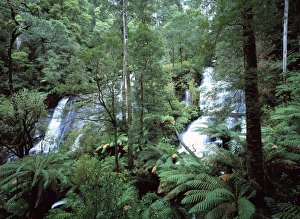 Australia - Twins waterfalls in the Otway National Park southern tip of the state of Australia - Twins waterfalls in the Otway National Park southern tip of the state of