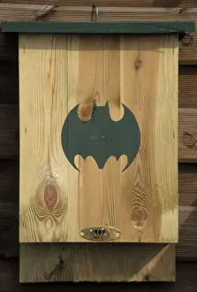 Johan De Meester Artwork Prints: Bat - nestbox