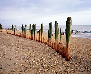 Beach - Weathered groynes at Winchelsea Beach Beach - Weathered groynes at Winchelsea Beach