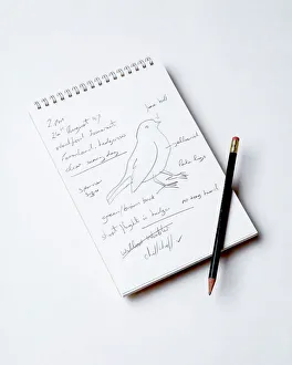 Bird Watchers Notebook - and pencil Bird Watchers Notebook - and pencil