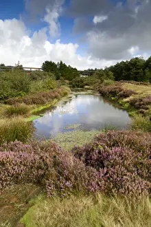 Cornish Mining Heritage Sites Prints: Bissoe Valley - former Mining area - Cornwall, UK