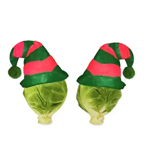 White Background Plant Photography Prints: Brussels sprout - with elf hat